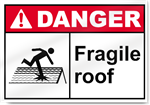 Fragile Roof Danger Signs
