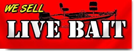 Live Bait Banner