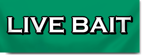 Live Bait Block Lettering Banner