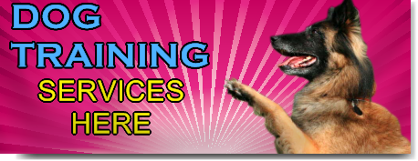 Dog Training Services Banner