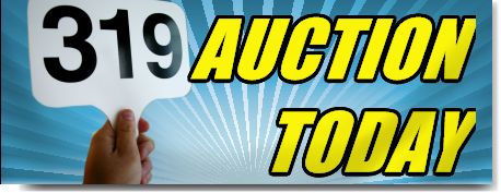 Auction Banner