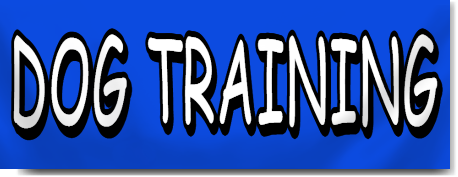 Dog Training Banner