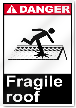 Fragile Roof Danger Signs