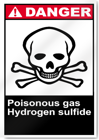 Poisonous Gas Hydrogen Sulfide Danger Signs