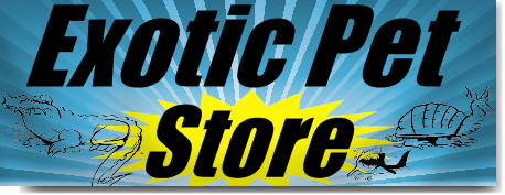 Exotic Pet Store Banners