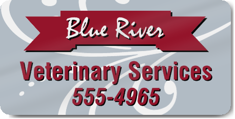 Veterinary Services Magnet