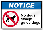 No Dogs Except Guide Dogs Notice Signs