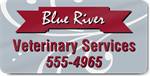 Veterinary Services Magnet