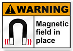 Magnetic Field In Place3 Warning Signs